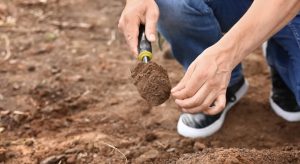 Excavate the Contaminated Soil