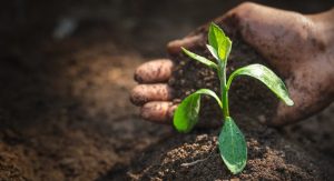 Maintain Healthy Soil