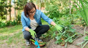 Understand Your Weeds