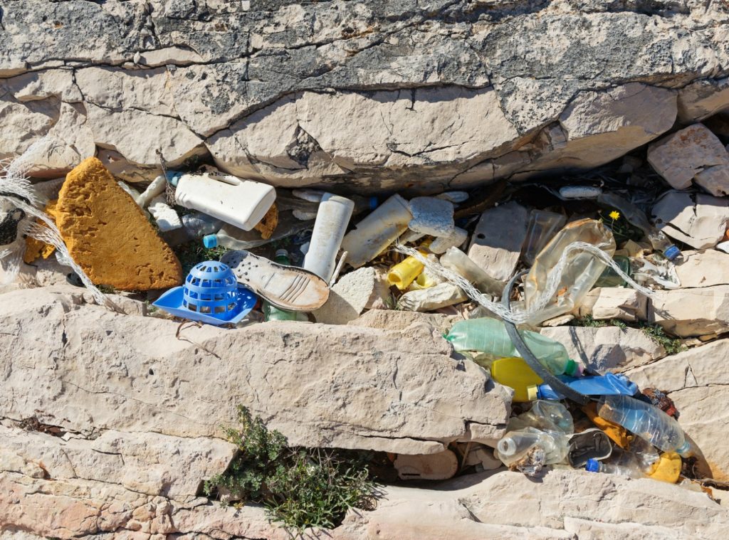 debris removal company