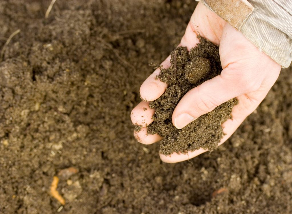 general soil removal