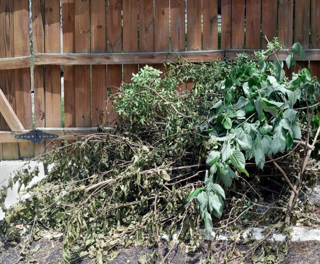 landscape debris removal