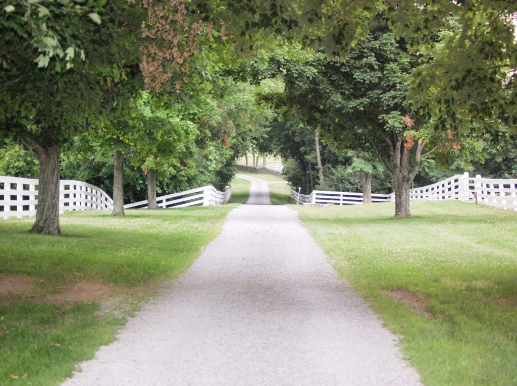 landscape gravel removal