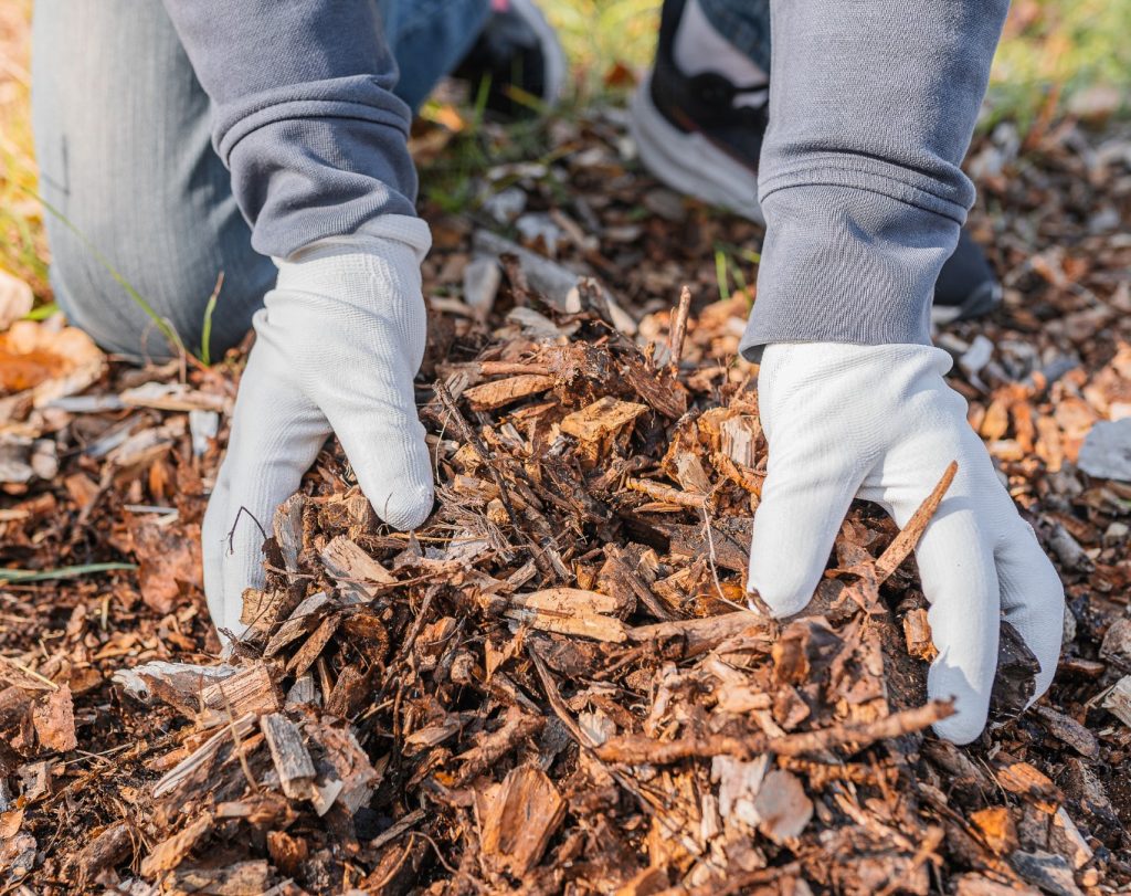 landscaping dirt removal