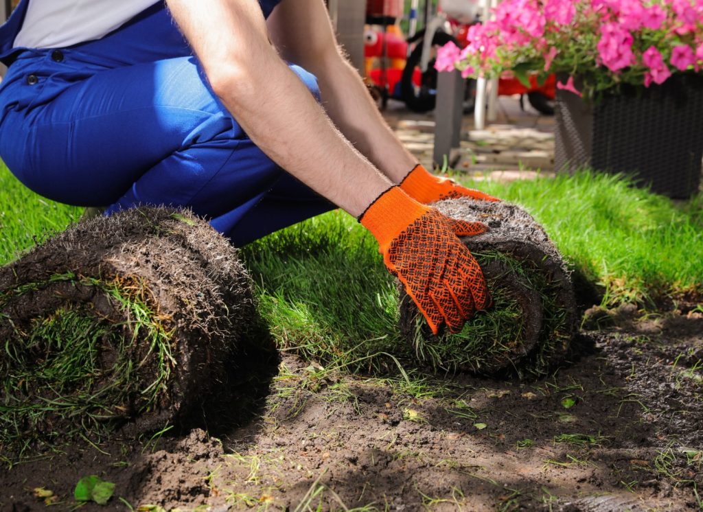 landscaping waste clearance
