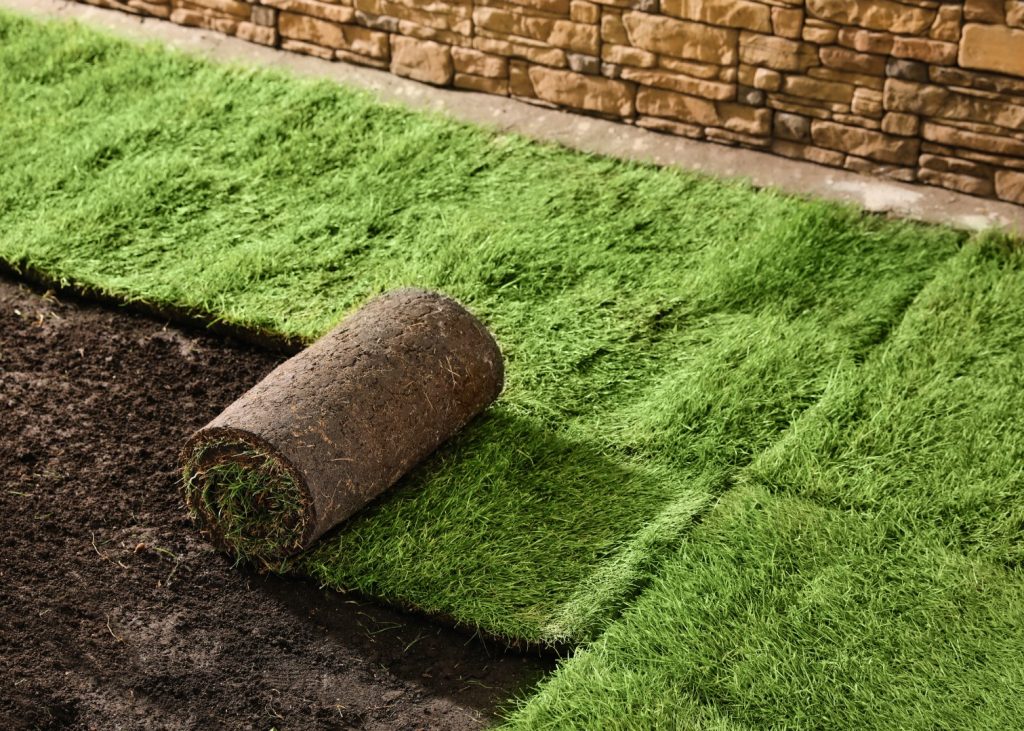 same day landscaping waste removal by garden rubbish collectors